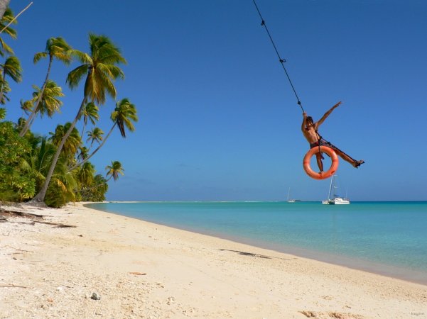 69- Romain, le tarzan des cocotiers 